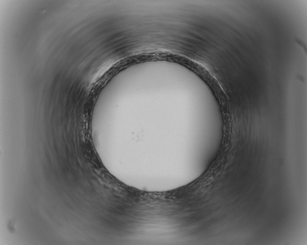 X0000103930871200809191121