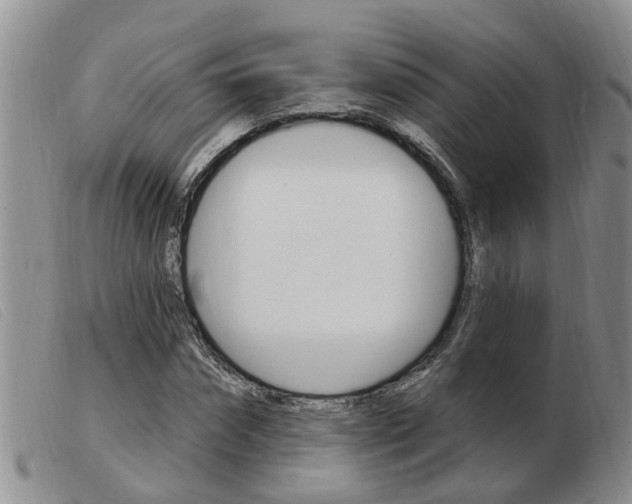 X0000103930874200809191121