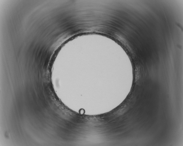 X0000103930876200809191121