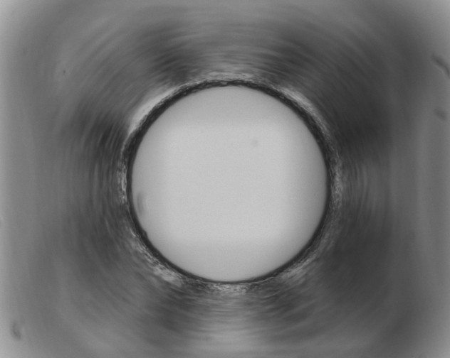 X0000103930878200809191121