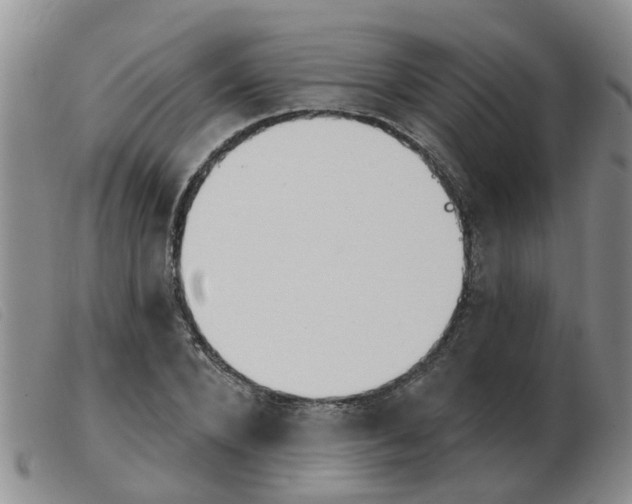 X0000103930880200809191121