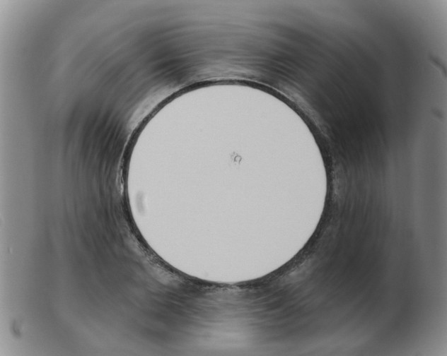 X0000103930885200809191120