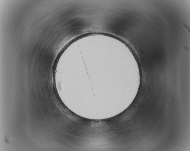 X0000103930887200809191120