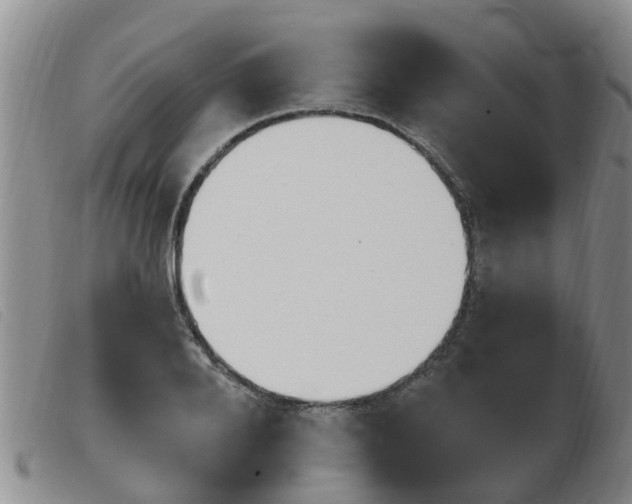 X0000103930888200809191120