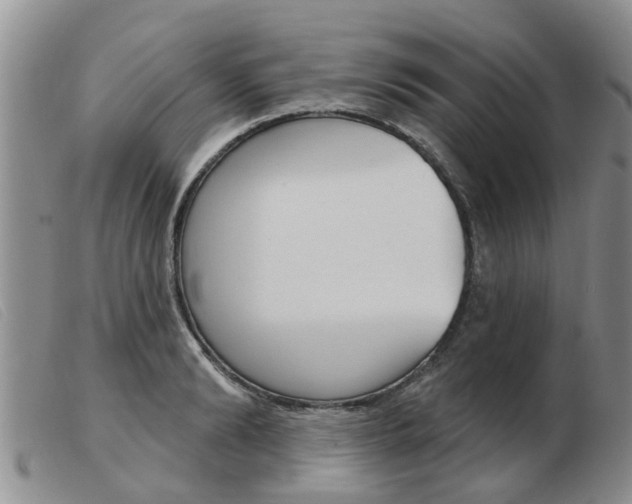X0000103930894200809191120