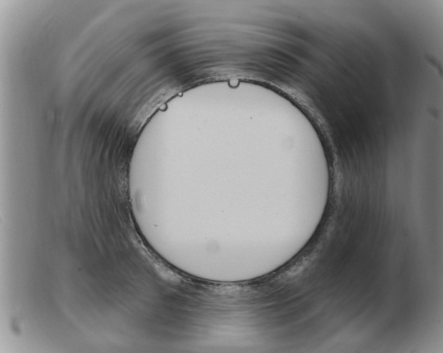 X0000103930897200809191120