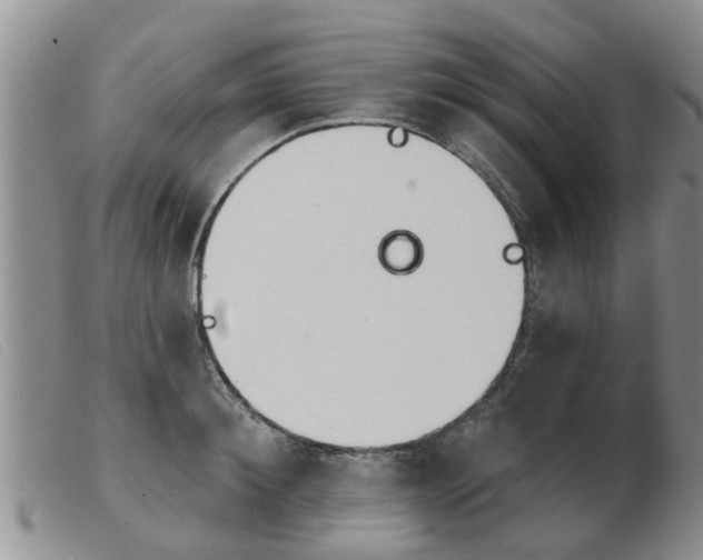 X0000103930900200809191120