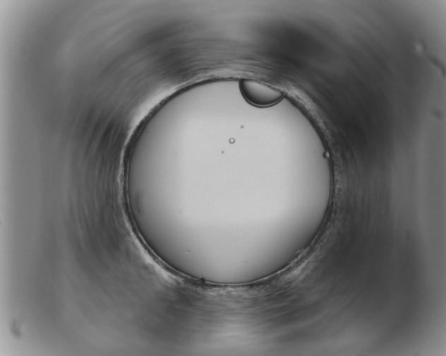 X0000103930902200809191120