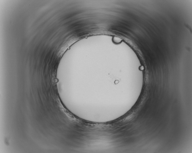X0000103930905200809191120