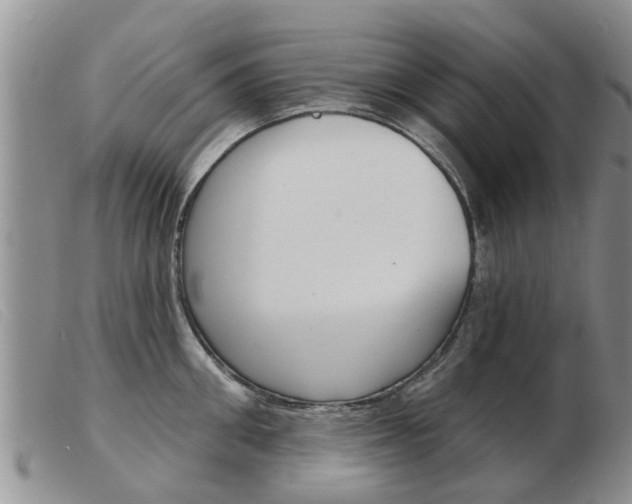 X0000103930906200809191120