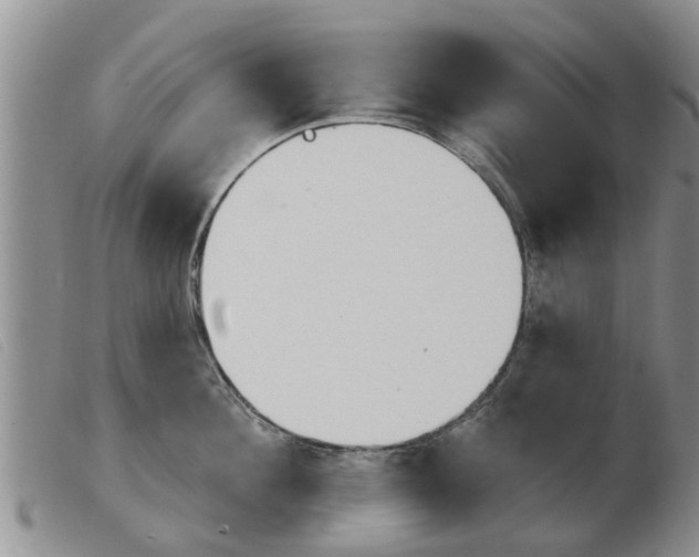 X0000103930908200809191120