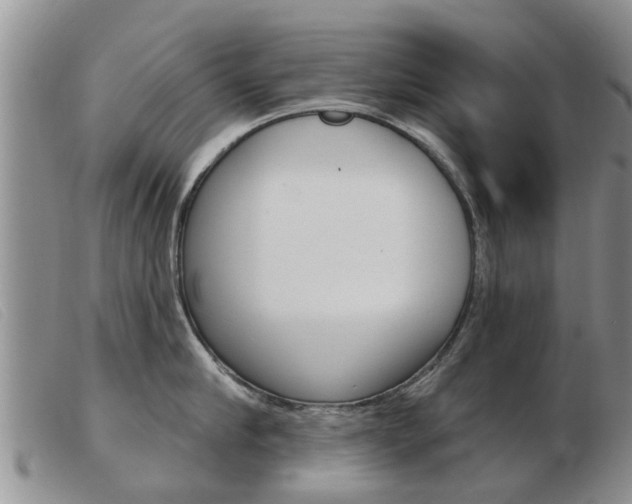 X0000103930910200809191120