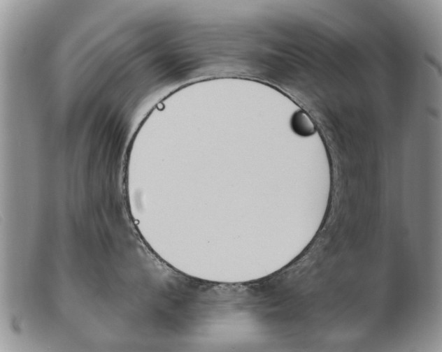 X0000103930912200809191120