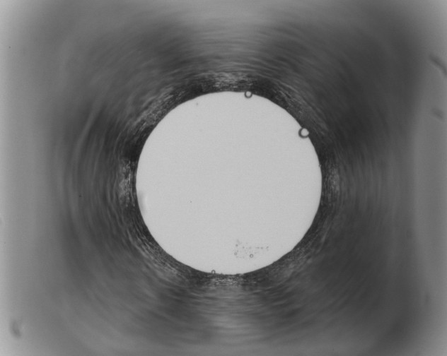 X0000103930914200809191119