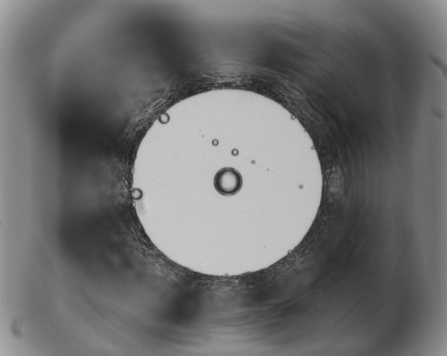 X0000103930916200809191119