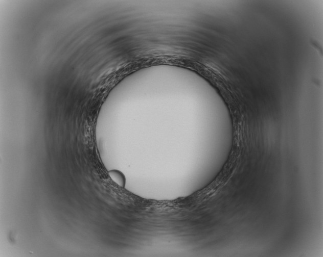 X0000103930917200809191119