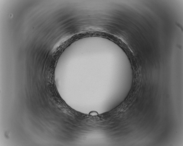 X0000103930919200809191119