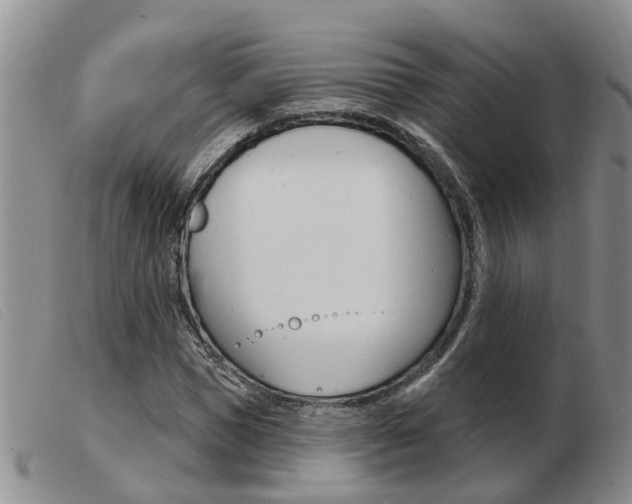 X0000103930921200809191119