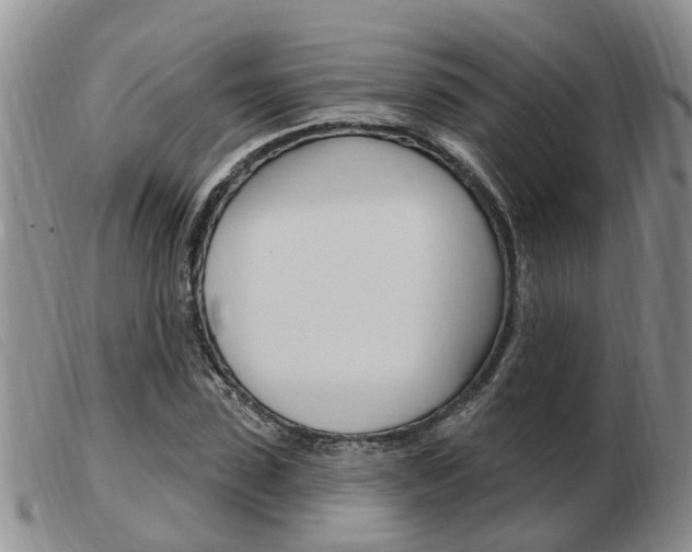 X0000103930923200809191119