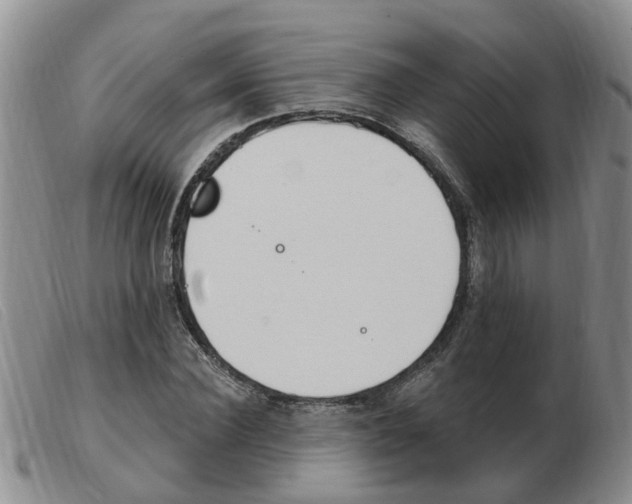 X0000103930924200809191119