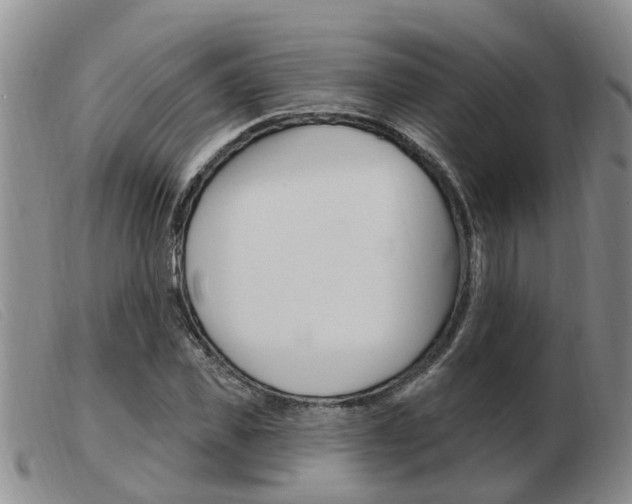 X0000103930925200809191119