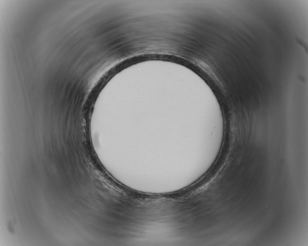 X0000103930926200809191119