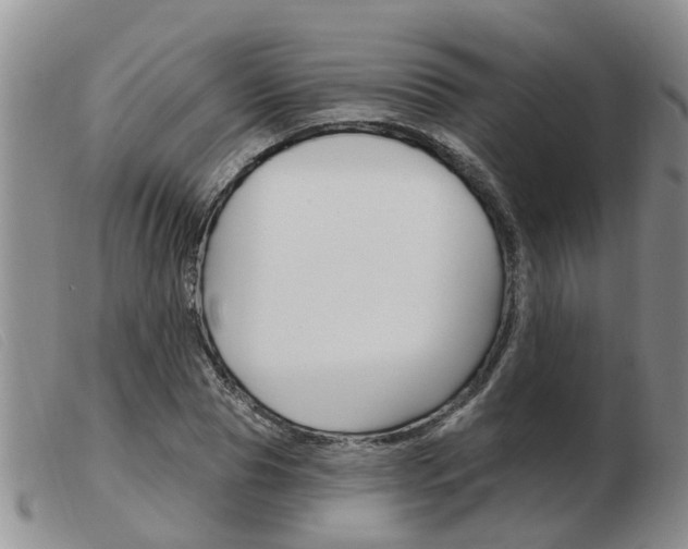 X0000103930929200809191120