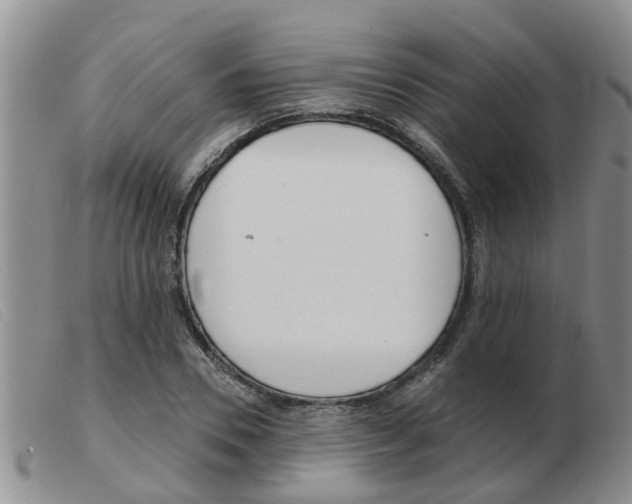 X0000103930930200809191120