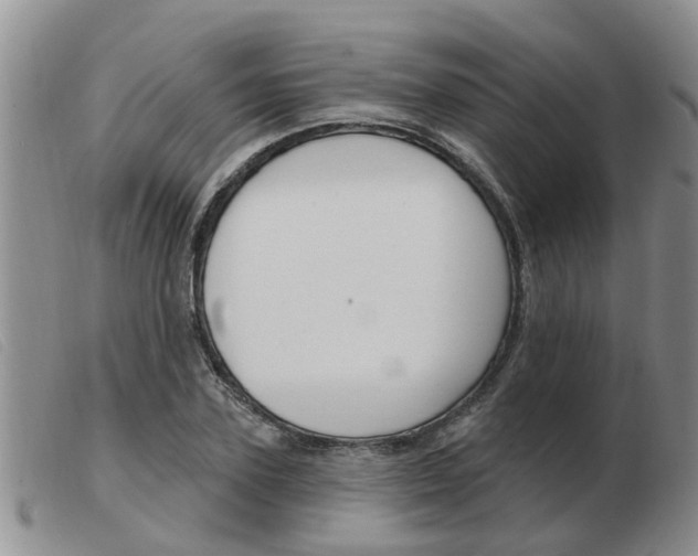 X0000103930931200809191120