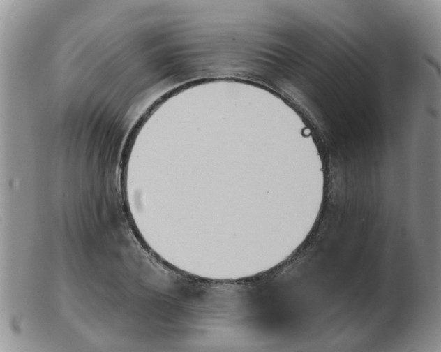 X0000103930932200809191120