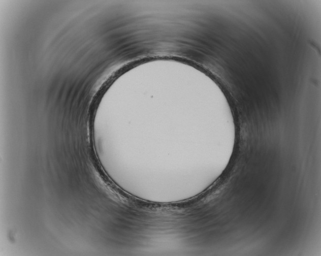 X0000103930934200809191120