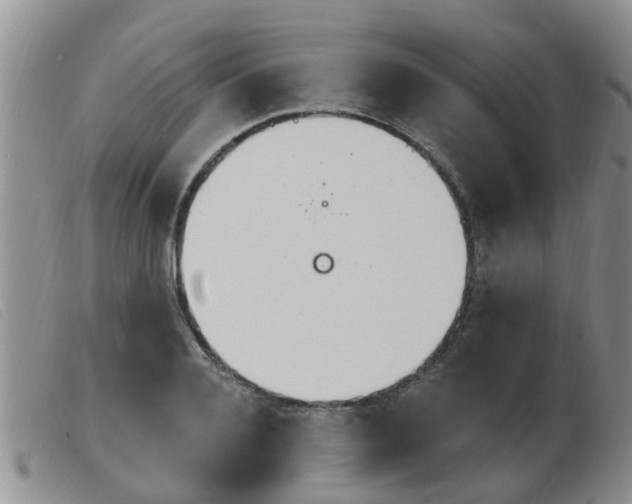 X0000103930936200809191120