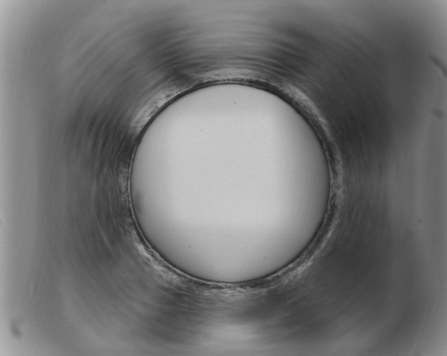X0000103930937200809191120