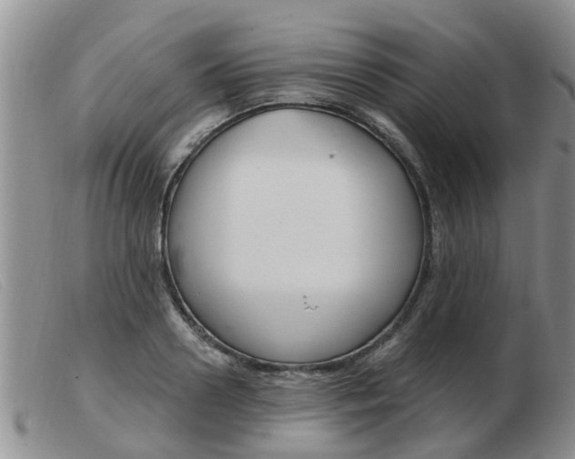 X0000103930938200809191120
