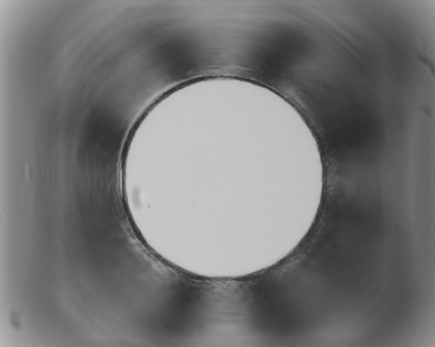 X0000103930940200809191120