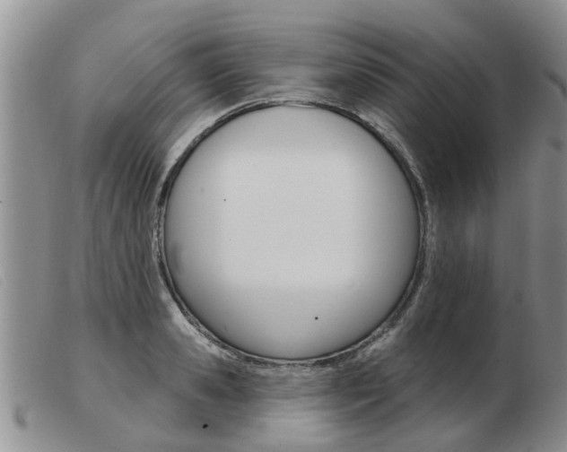 X0000103930941200809191120