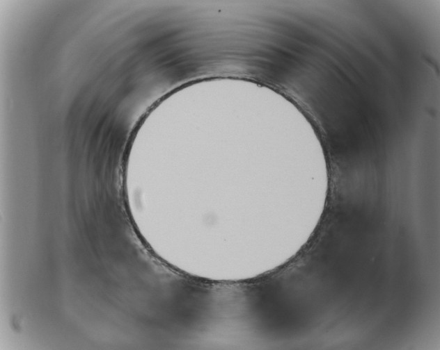 X0000103930944200809191120