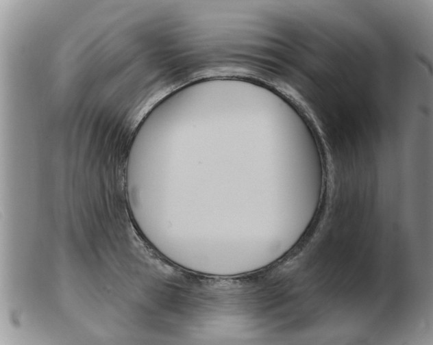 X0000103930945200809191120