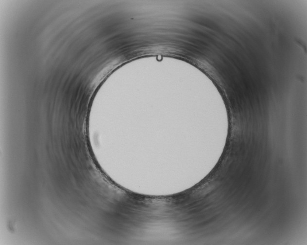 X0000103930946200809191120