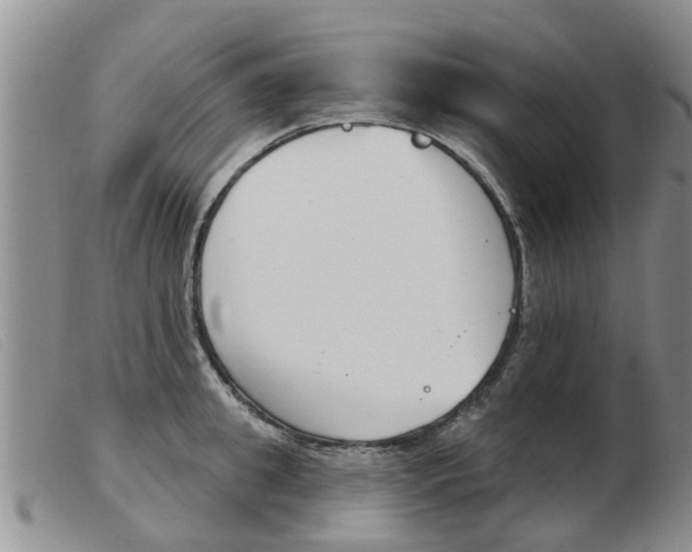 X0000103930949200809191120