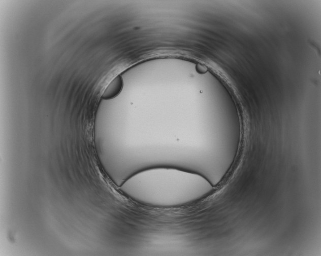 X0000103930953200809191120