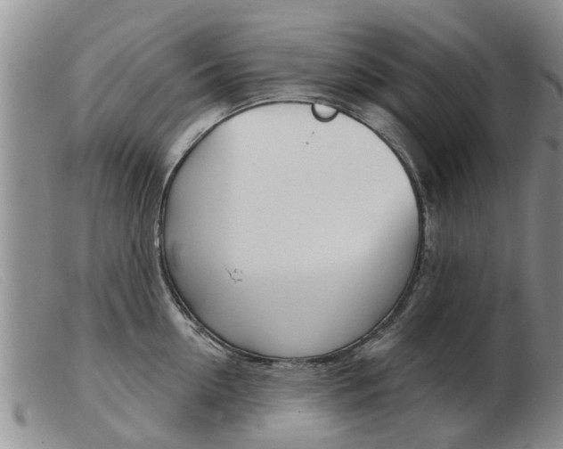 X0000103930954200809191120