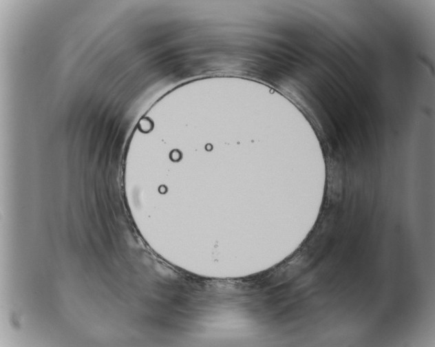 X0000103930956200809191120