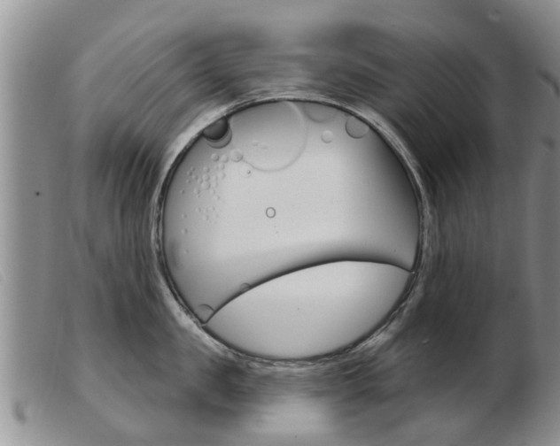 X0000103930957200809191120