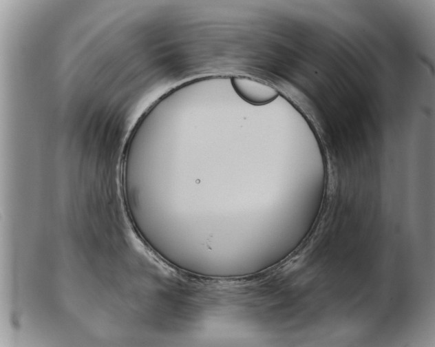 X0000103930958200809191120