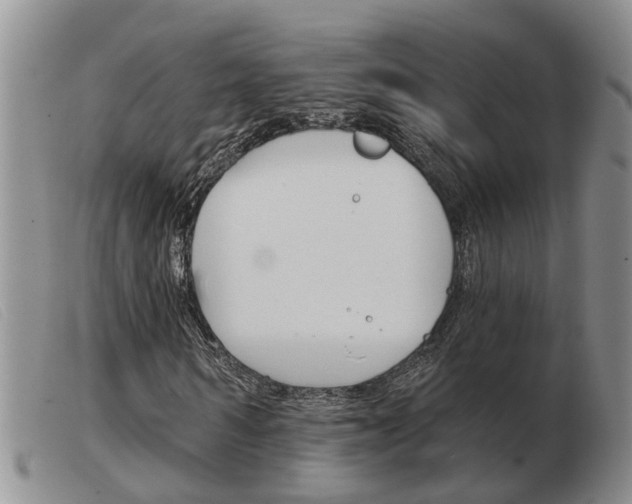X0000103930962200809191119