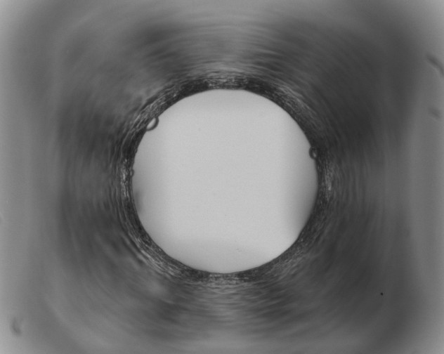 X0000103930964200809191119