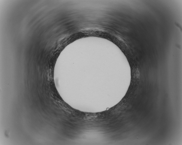 X0000103930965200809191119