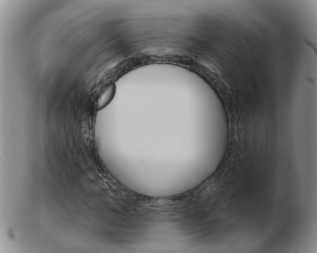 X0000103930966200809191119
