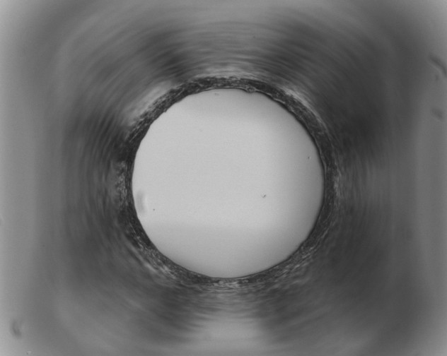 X0000103930968200809191119